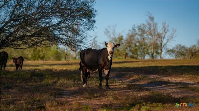 a view of a lake with a yard