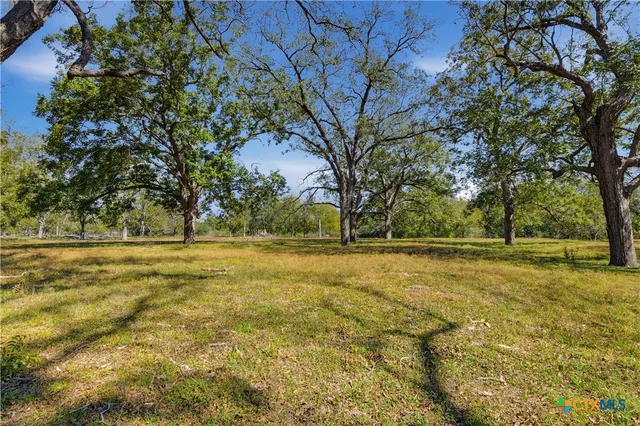a view of pool and trees