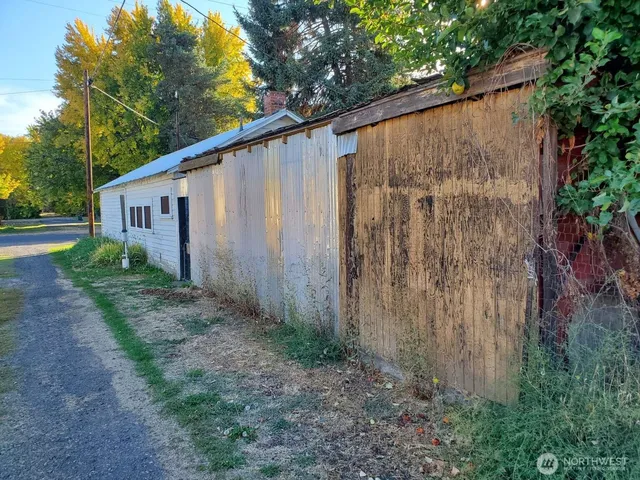 a view of a backyard with potted plants and large tree