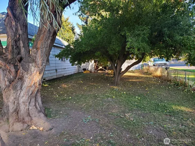 a view of a yard with large trees