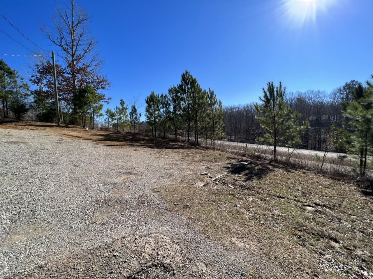 1135 Lula Ferrell Drive Savannah, TN 38372 - Photo 7 of 25