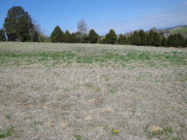 Lot 27 Pocahontas Lane Rutledge, TN 37861 - Photo 2 of 2 Lot 13 (3)