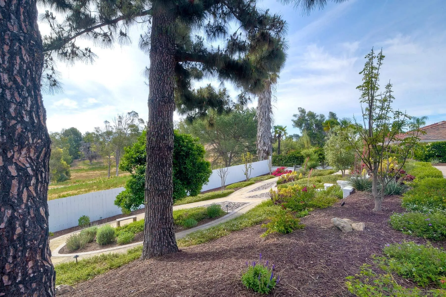17533 St Andrews Drive Poway, CA 92064 - Photo 36 of 56 a view of a yard with a tree and a garden