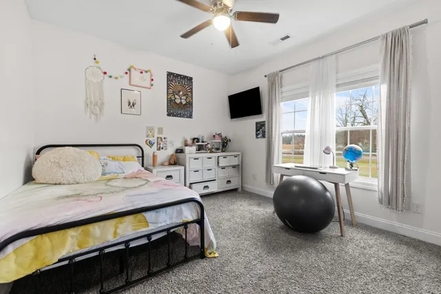 a bedroom with a bed and a flat tv screen