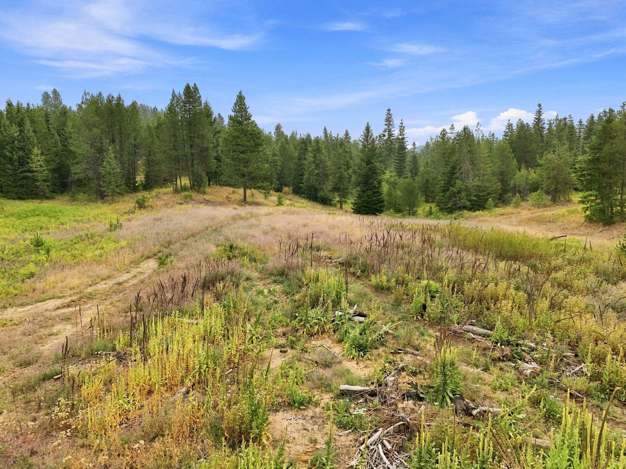 1301 Roberts Road Newport, WA 99156 - Photo 12 of 29 Gallery Image 12