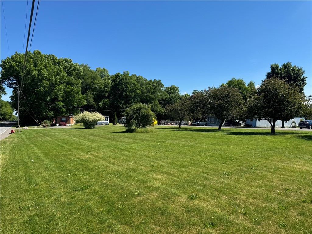 1403 Ridley Road Phelps, NY 14532 - Photo 4 of 16