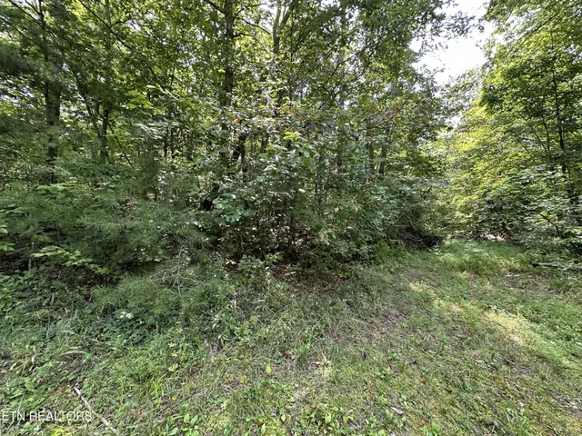 $59,900 | Anthony Road, Deer Lodge, TN 37726