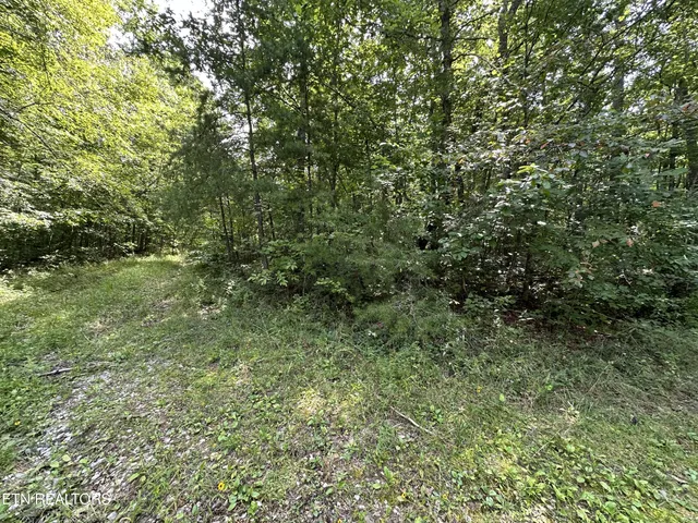 $59,900 | Anthony Road, Deer Lodge, TN 37726