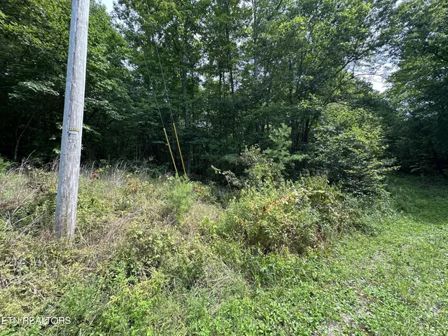 $59,900 | Anthony Road, Deer Lodge, TN 37726