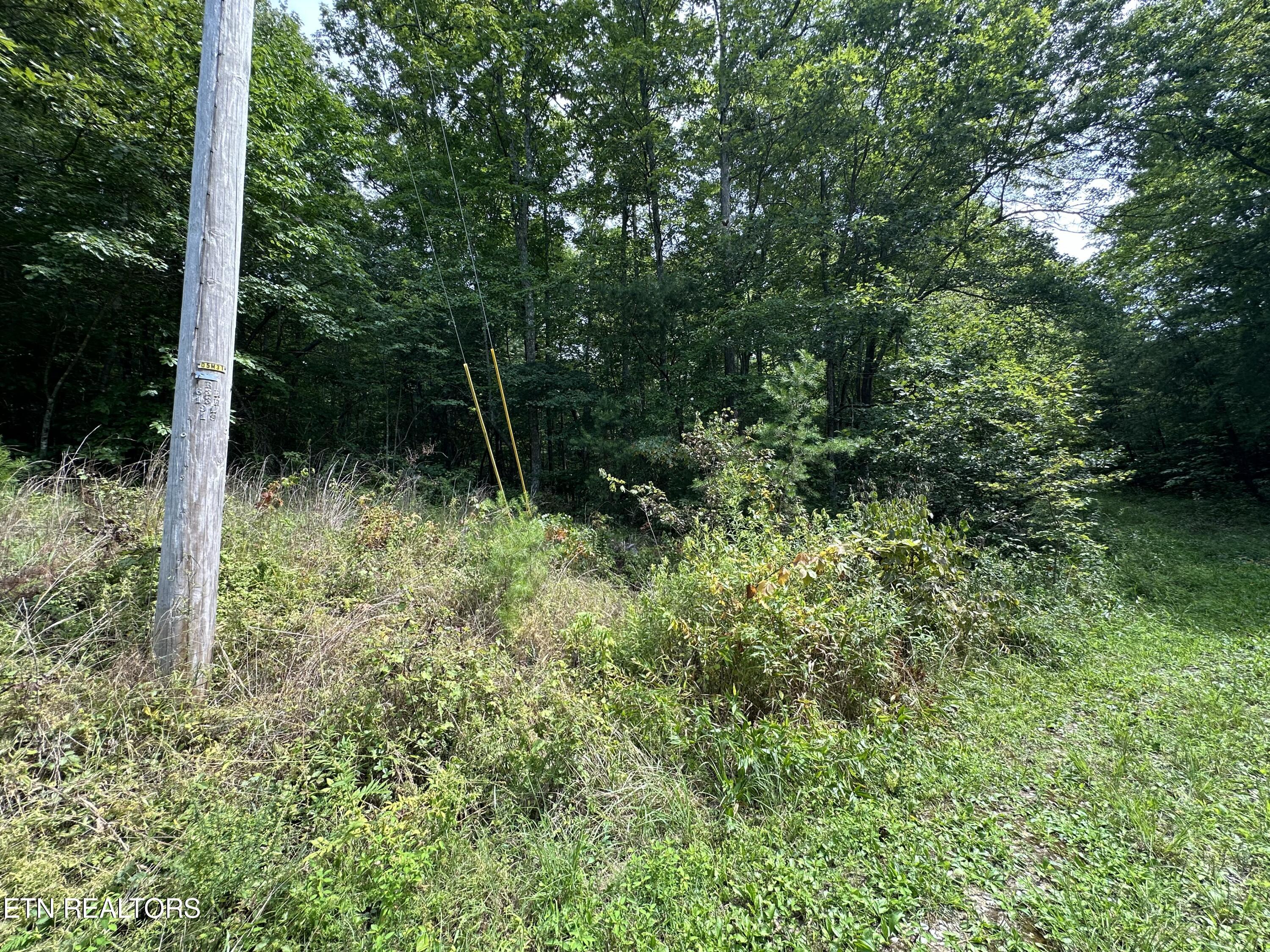 Anthony Road Deer Lodge, TN 37726 - Photo 9 of 10 IMG_6980