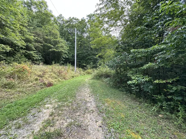 $59,900 | Anthony Road, Deer Lodge, TN 37726