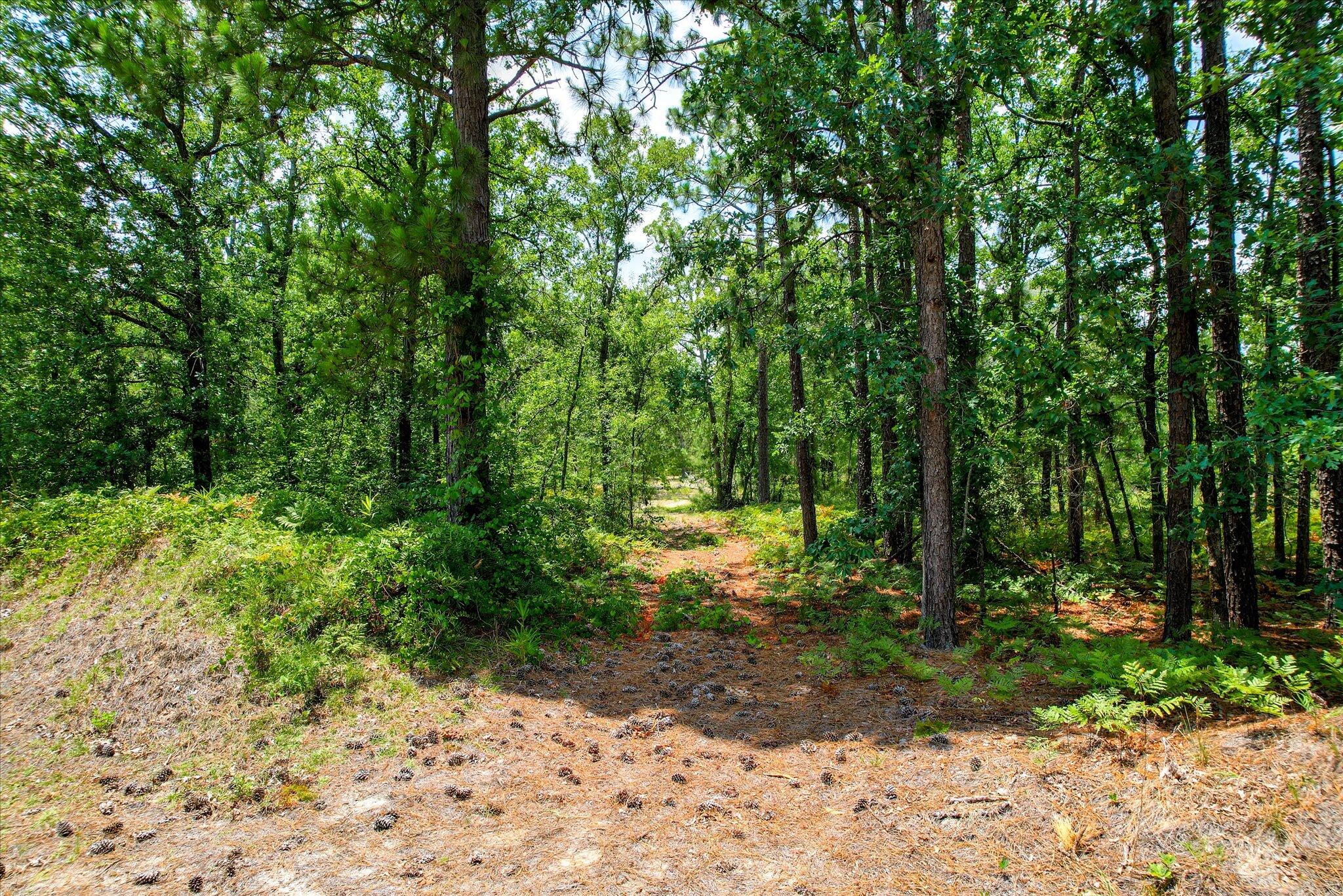 174 Hard Luck Lane Windsor, SC 29856 - Photo 2 of 27