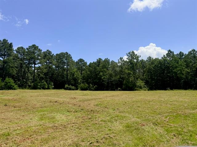 1916 Bayou Maria Road Pineville, LA 71360 - Photo 3 of 5