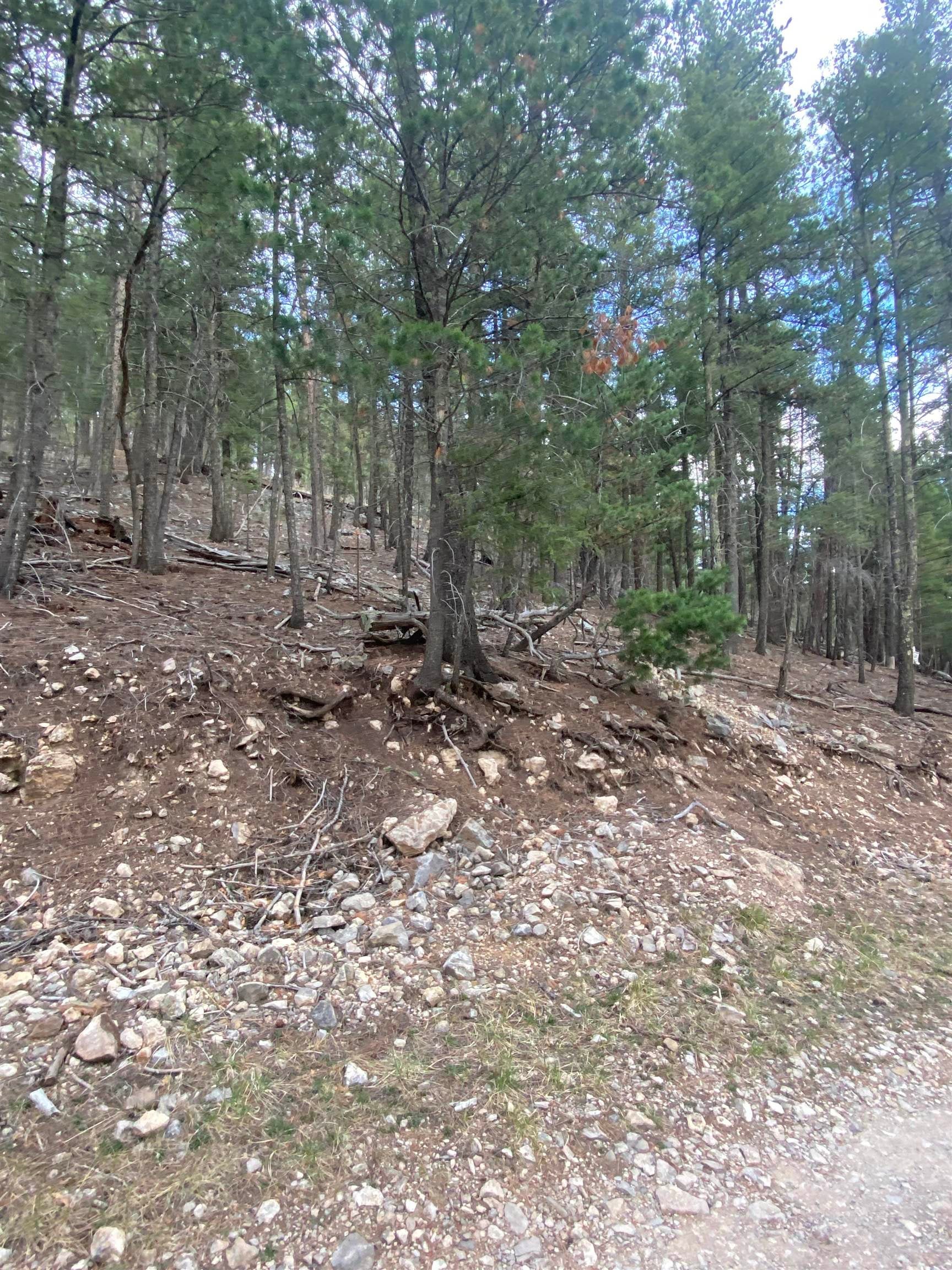 5 Forest View Road Cloudcroft, NM 88317 - Photo 1 of 4 Gallery Image 1