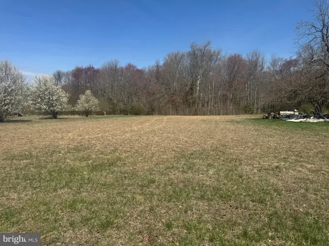 a view of an outdoor space and a yard