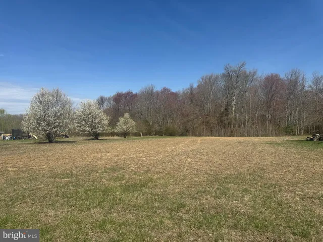 a view of a field with trees in background
