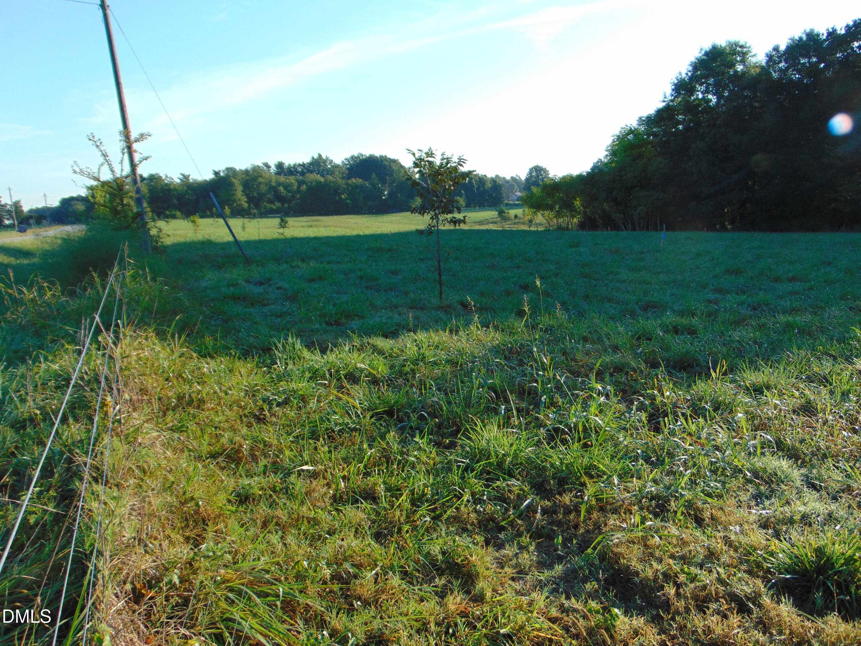 0 County Home Road Blanch, NC 27212 - Photo 11 of 11 DSC01649