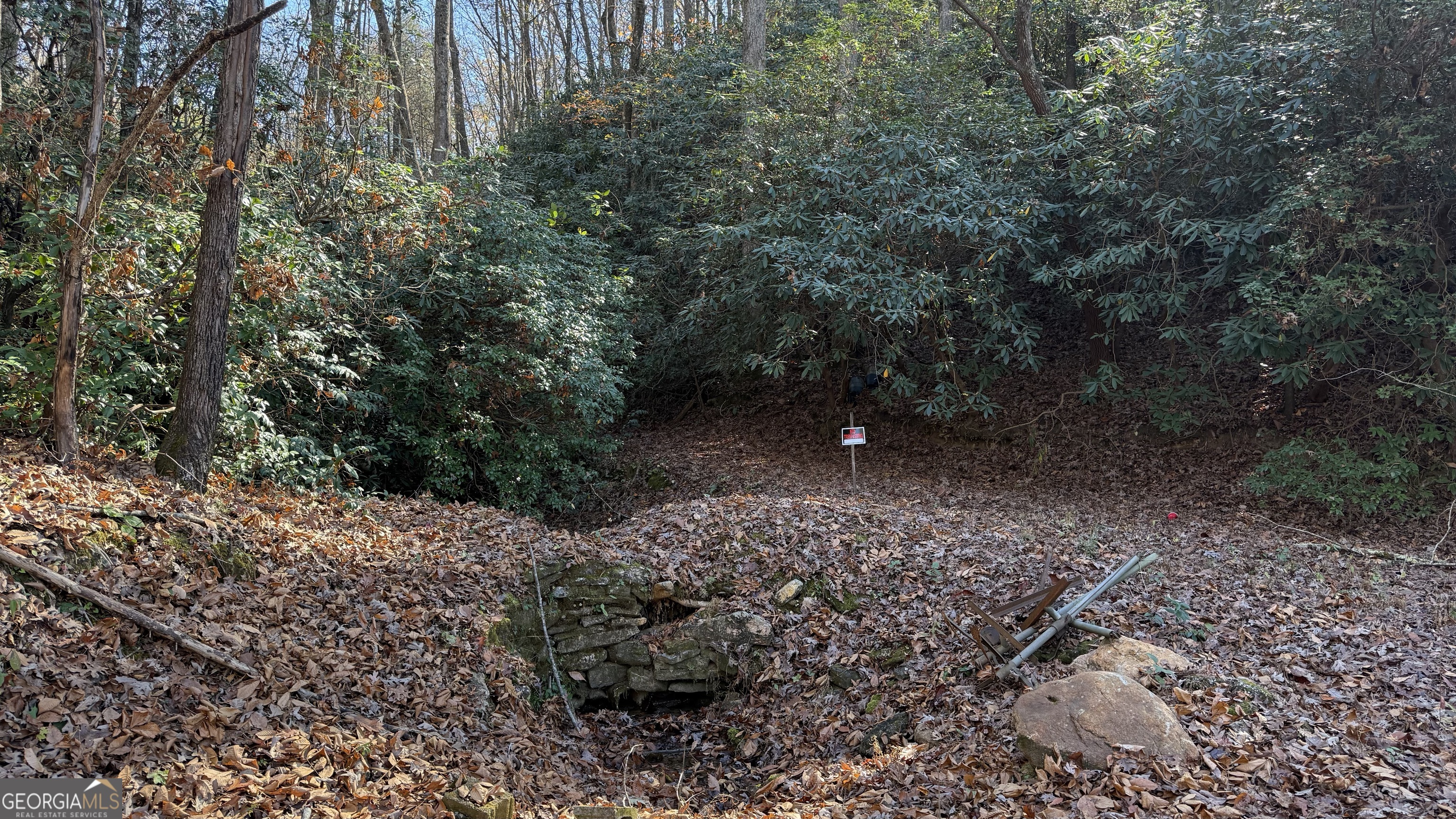 0 Goshen Road Clarkesville, GA 30523 - Photo 15 of 19 a view of a forest with trees in the background
