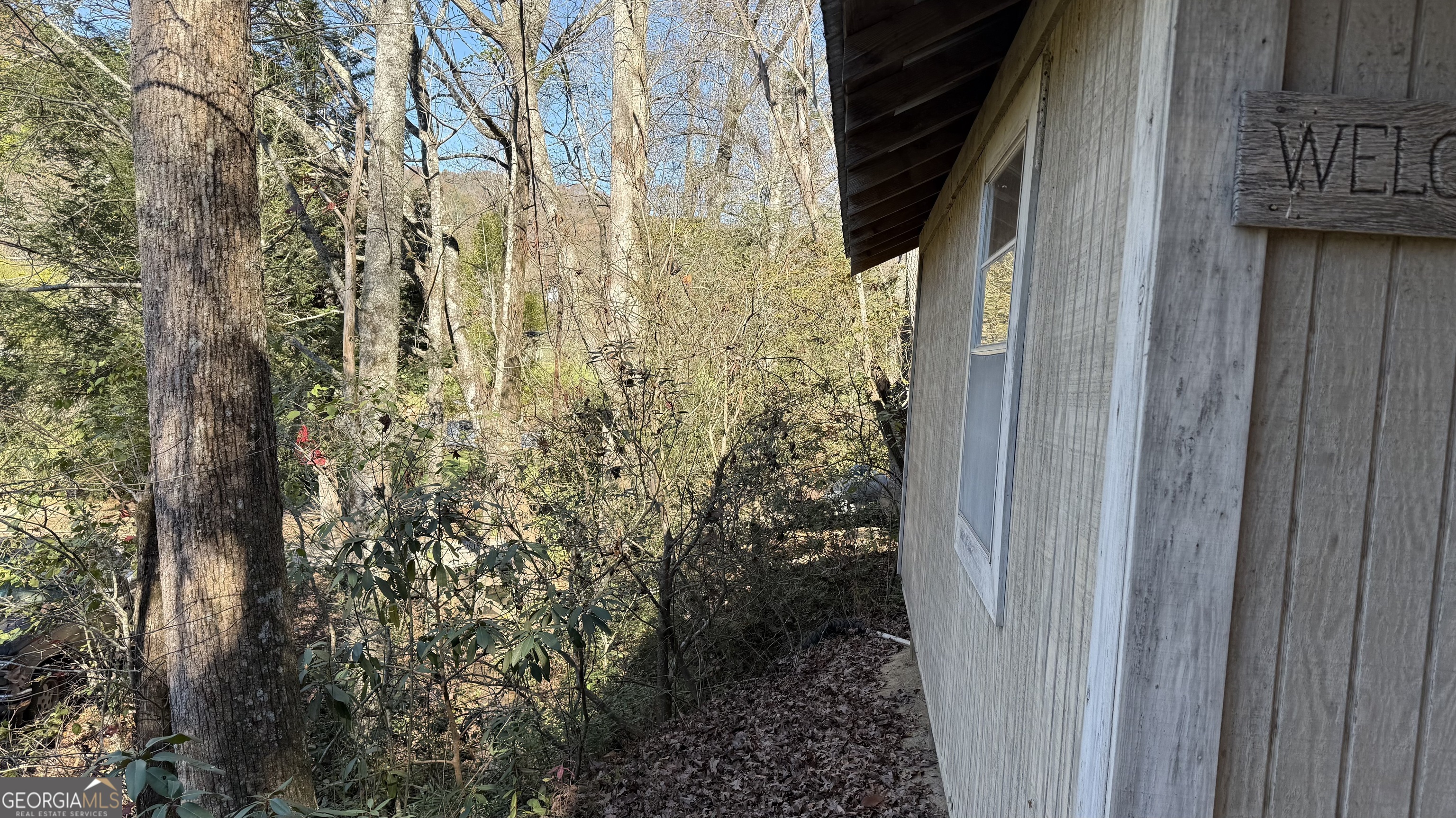 0 Goshen Road Clarkesville, GA 30523 - Photo 8 of 19 a view of a pathway of a house