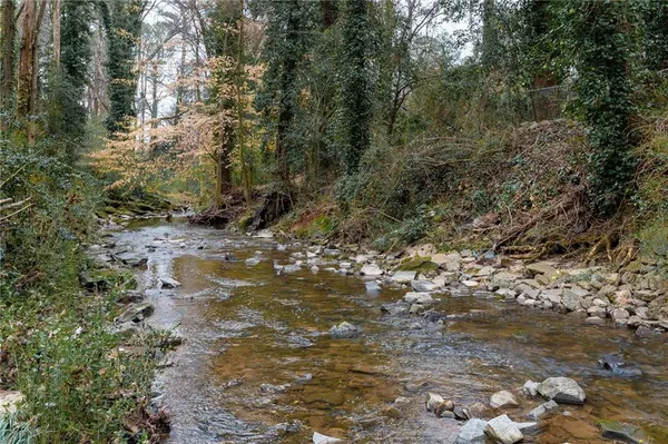 a view of a yard with plants and trees