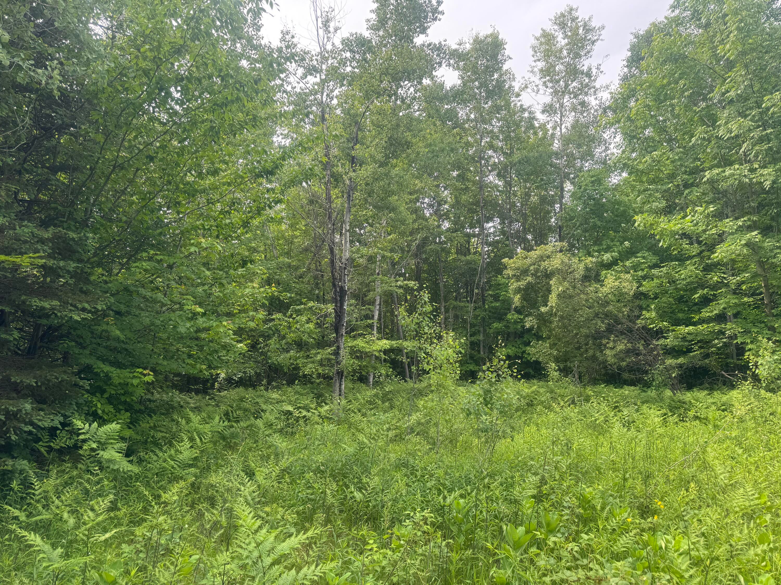 N4996 Ford Lake Road Germfask, MI 49836 - Photo 13 of 27 Gallery Image 13