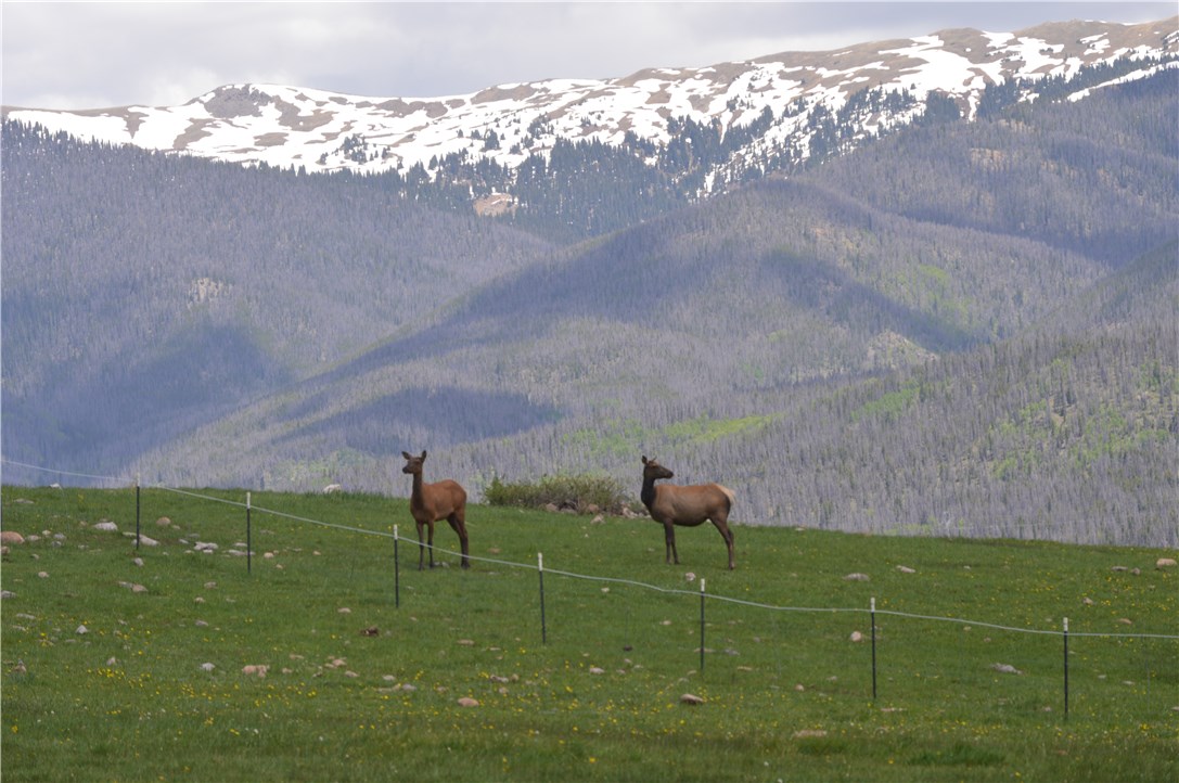 1176 Emerald Road Silverthorne, CO 80498 - Photo 18 of 19 Gallery Image 18