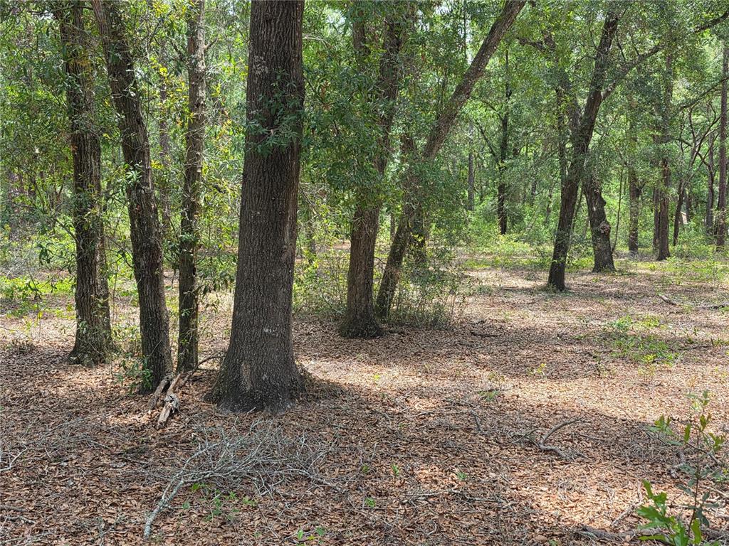 Rolling Ares Road West Lady Lake, FL 32159 - Photo 27 of 48 Gallery Image 27