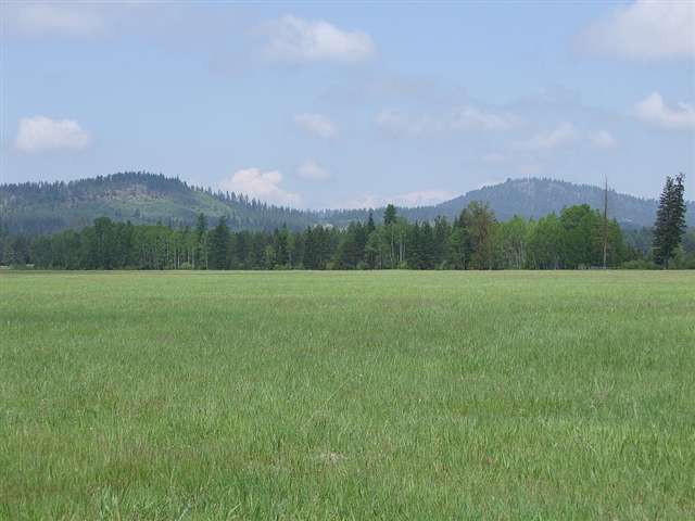 46-xx Williams Valley Road Clayton, WA 99110 - Photo 1 of 1