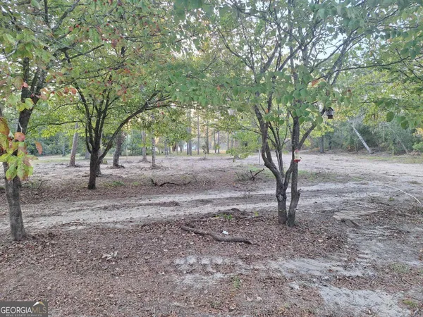 $325,000 | 55 Ag Lane, Alamo, GA 30411