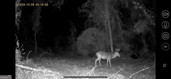 $325,000 | 55 Ag Lane, Alamo, GA 30411