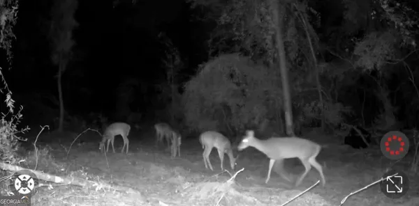 $325,000 | 55 Ag Lane, Alamo, GA 30411