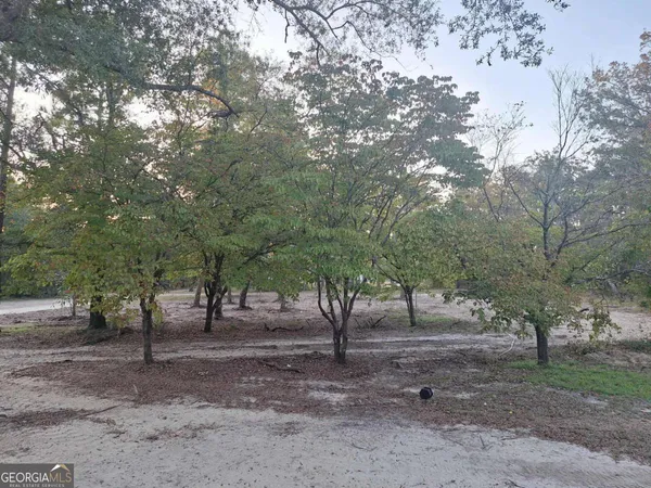 $325,000 | 55 Ag Lane, Alamo, GA 30411