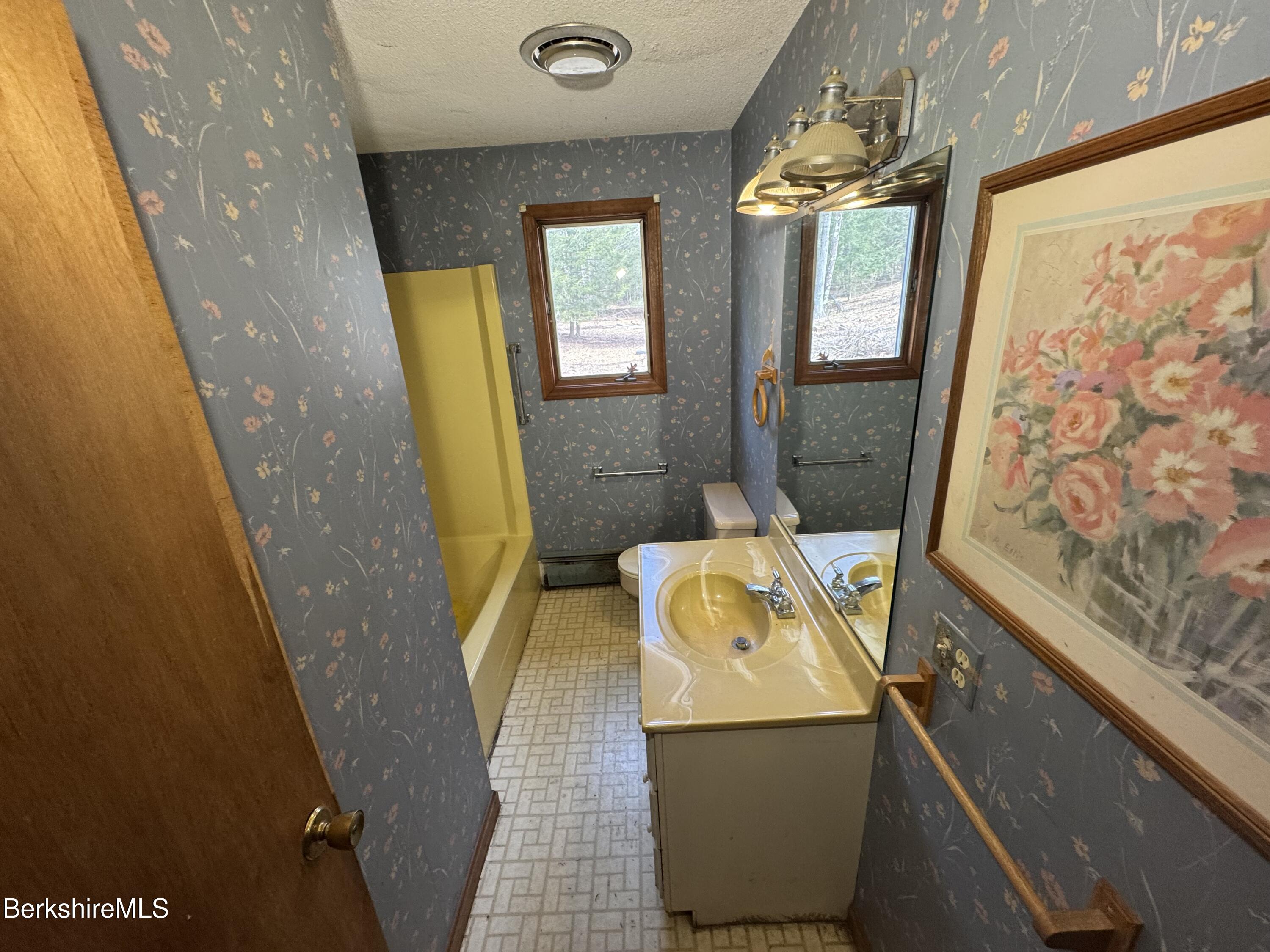 44 C Mt Washington Road Egremont, MA 01230 - Photo 13 of 25 a bathroom with a sink and mirror with bathtub