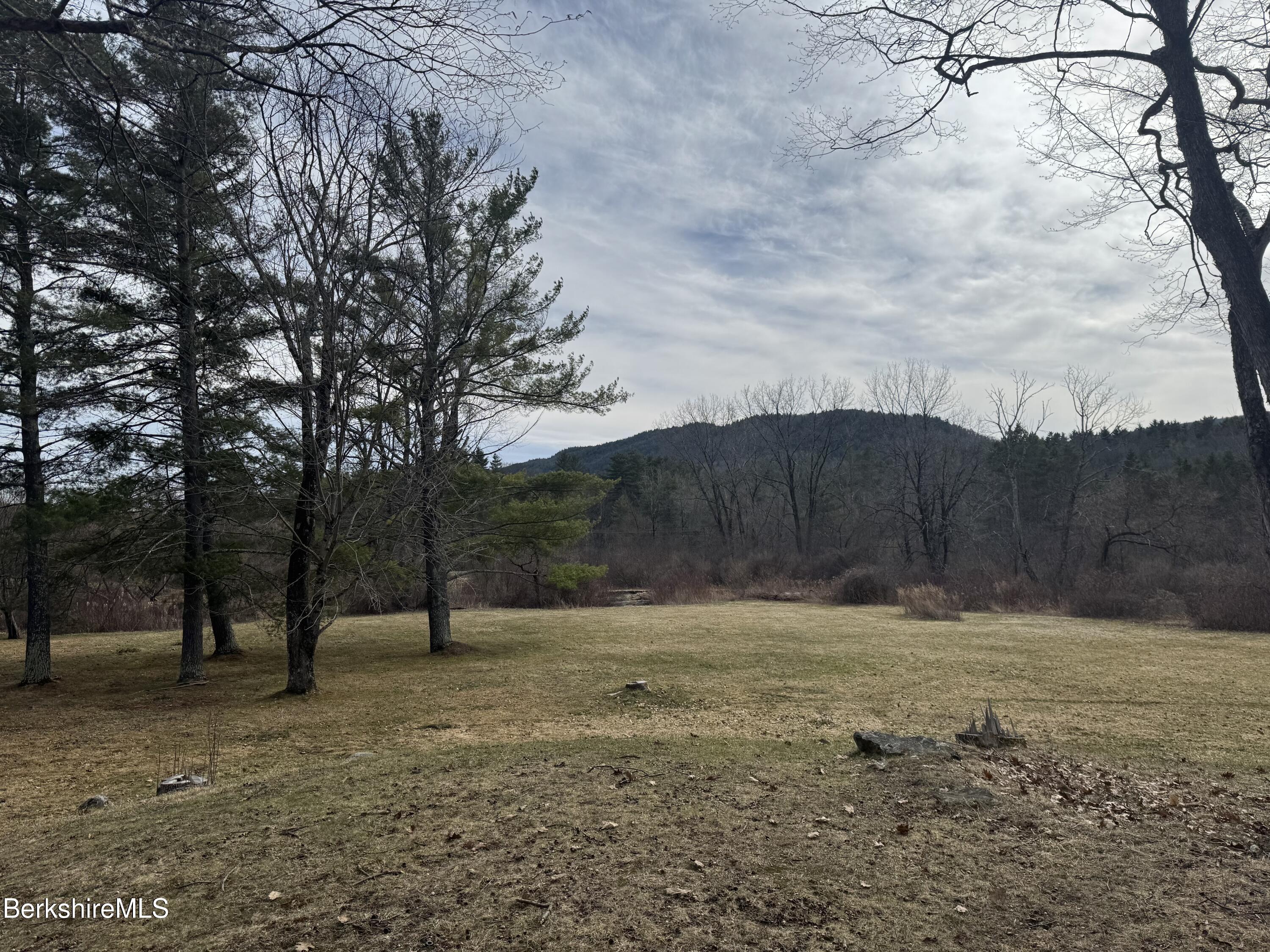 44 C Mt Washington Road Egremont, MA 01230 - Photo 7 of 25 a view of backyard with large trees