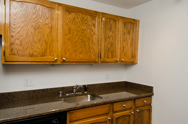 100 West Chestnut Street, Unit 1008 Chicago, IL 60610 - Photo 10 of 10 a close view of sink and cabinets