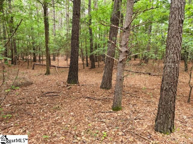 Hudson Road Fountain Inn, SC 29644 - Photo 3 of 15