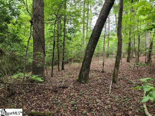 Hudson Road Fountain Inn, SC 29644 - Photo 4 of 15