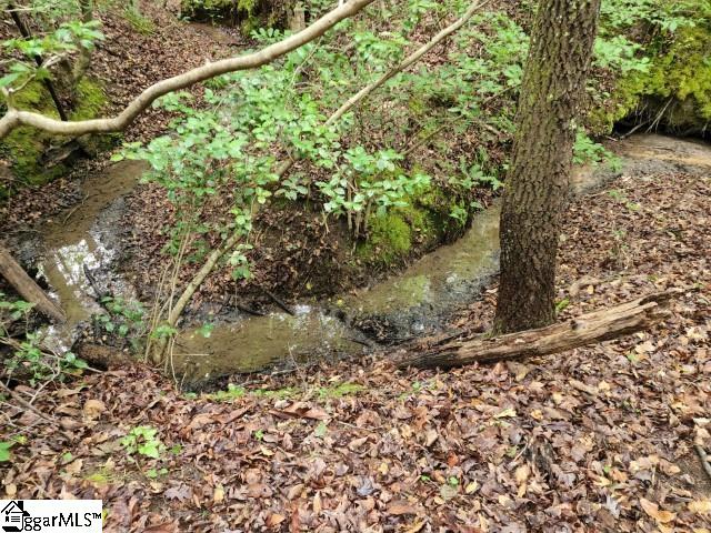 Hudson Road Fountain Inn, SC 29644 - Photo 7 of 15