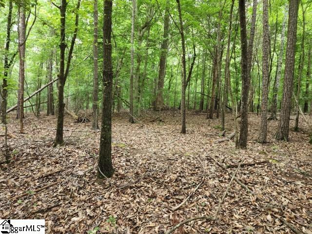 Hudson Road Fountain Inn, SC 29644 - Photo 8 of 15