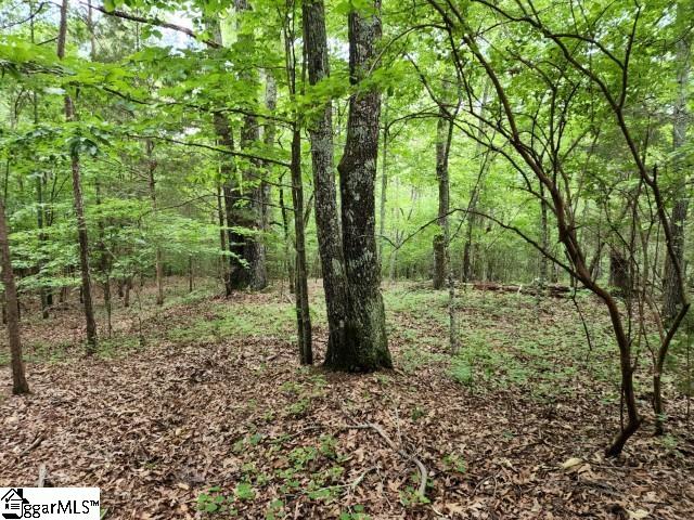 Hudson Road Fountain Inn, SC 29644 - Photo 10 of 15