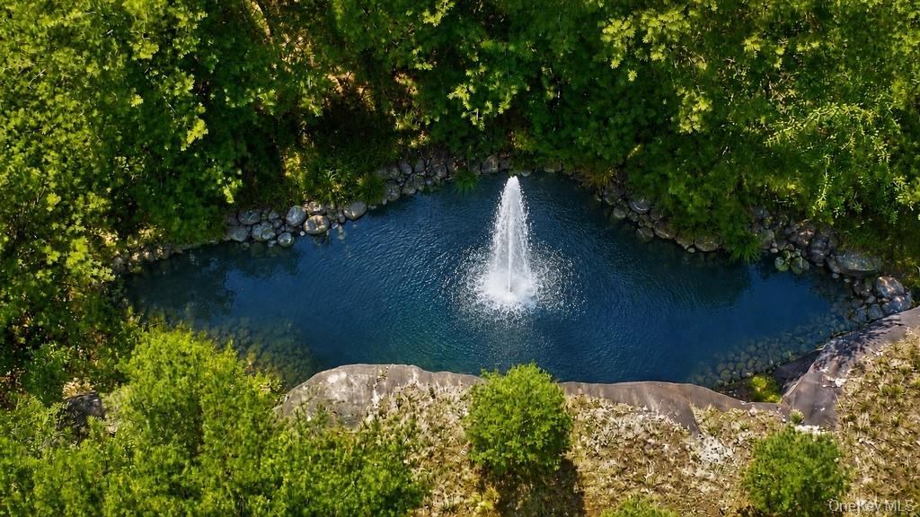 Marsh Road Fallsburg, NY 12733 - Photo 9 of 20 Pond enhanced version to show potential