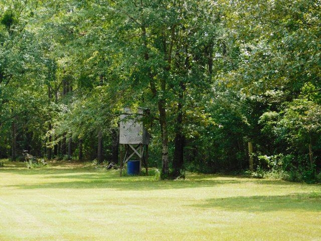 5840 Rockaway Creek Road Walnut Hill, FL 32568 - Photo 32 of 38