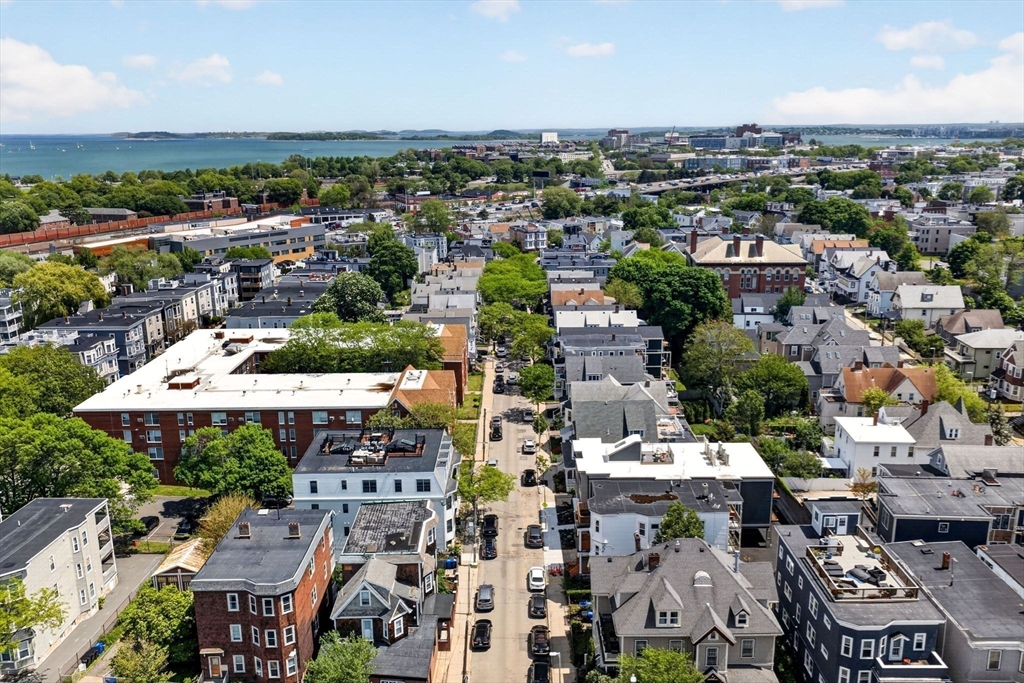54 Dorset Street, Unit 1 Boston, MA 02125 - Photo 27 of 32