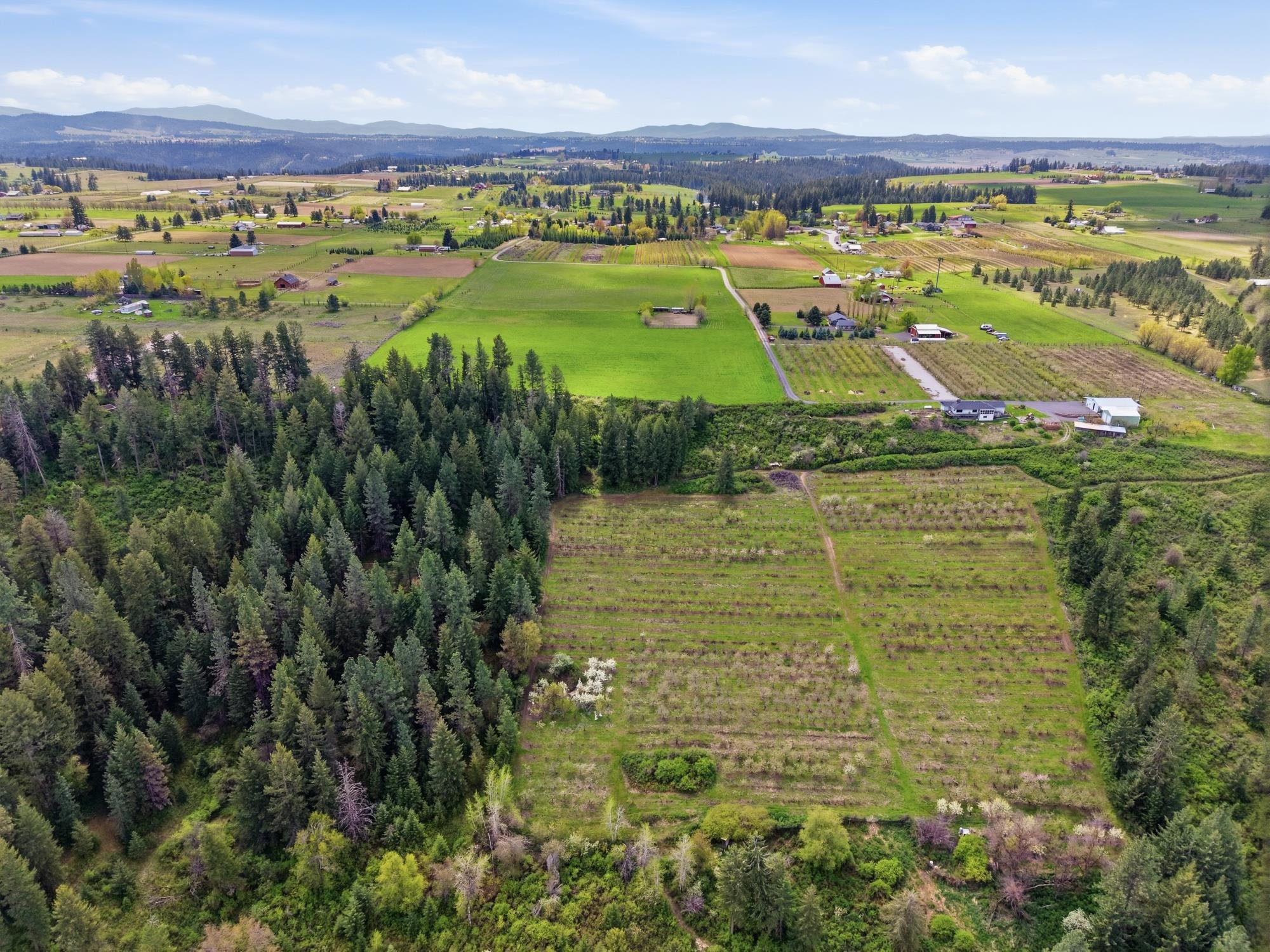 Xxxx East Woolard Road Colbert, WA 99005 - Photo 1 of 27