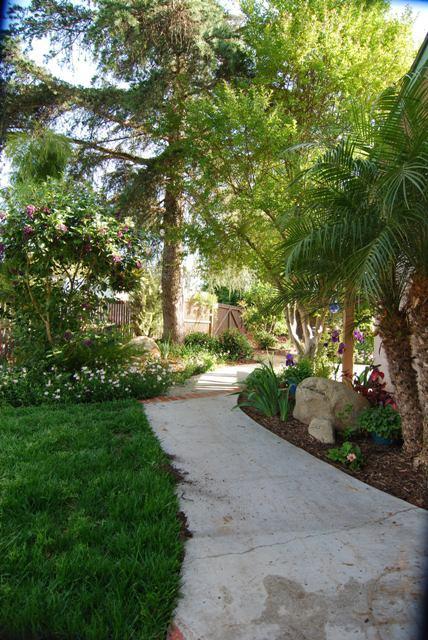 200 North Rice Road Ojai, CA 93023 - Photo 11 of 21 a view of a street with a tree
