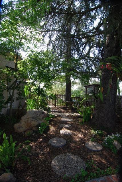 200 North Rice Road Ojai, CA 93023 - Photo 13 of 21 a view of a tree in the middle of a yard