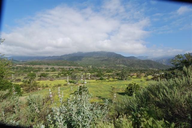 200 North Rice Road Ojai, CA 93023 - Photo 5 of 21 a view of a city with lush green forest