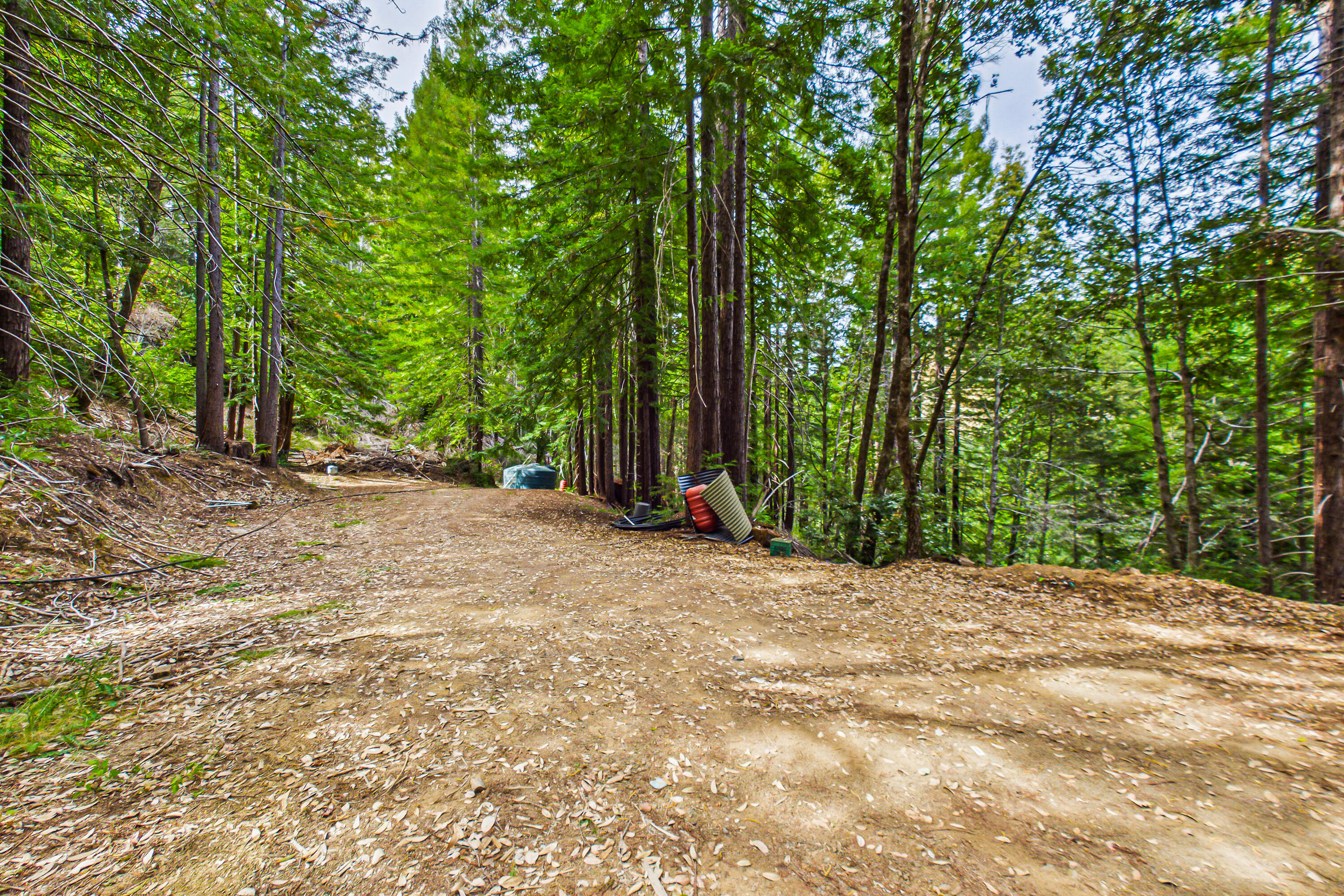 1005 Twin Trees Road Garberville, CA 95542 - Photo 64 of 84