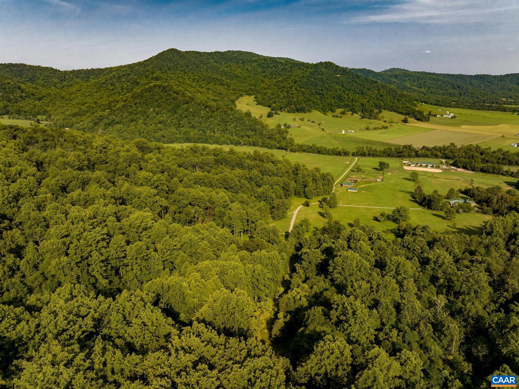 329 Jones Mountain Road Madison, VA 22727 - Photo 45 of 47