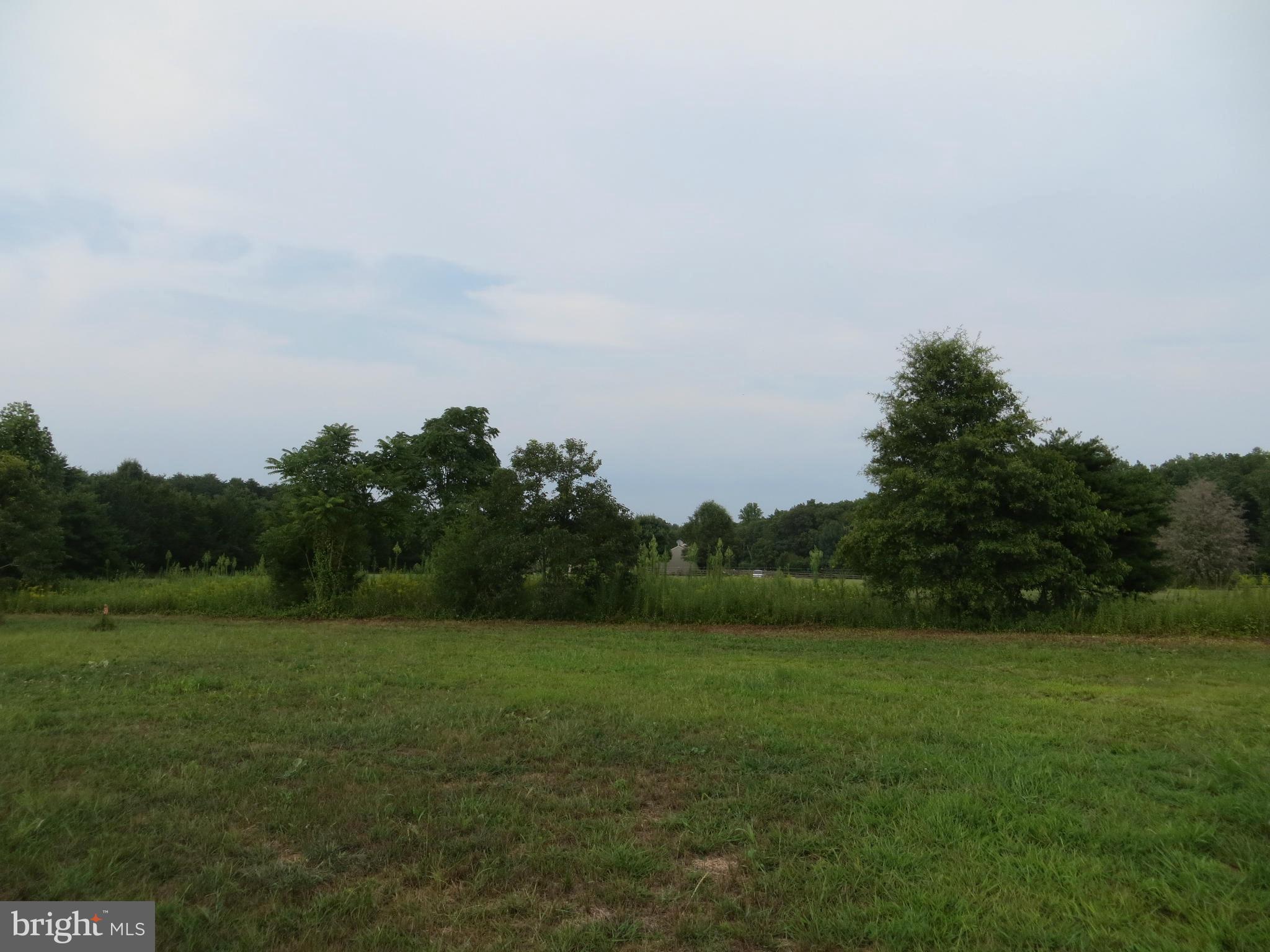 31253 Price Road Locust Grove, VA 22508 - Photo 23 of 24 Backyard Views